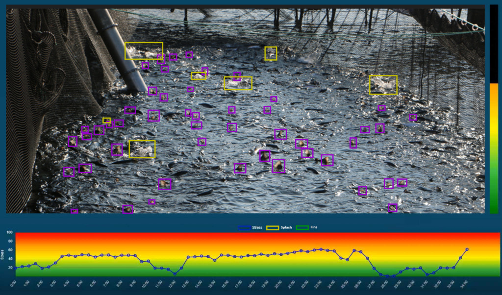 Stress bilde Fishwell Technology